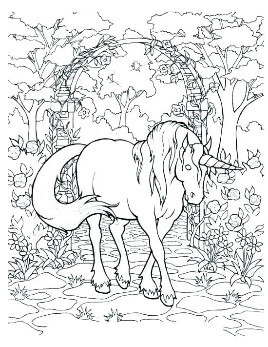 lisa frank horse coloring pages