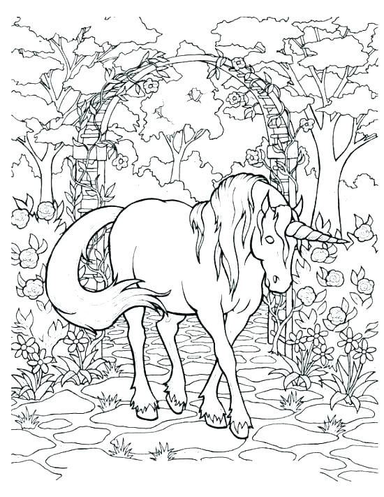 Lisa Frank Color and Trace Book with Stand-up Characters  Horse coloring  pages, Puppy coloring pages, Lisa frank coloring books