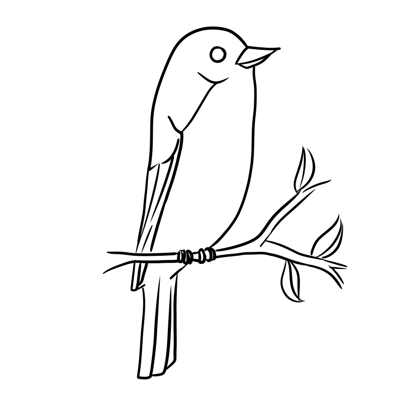 little bird coloring page