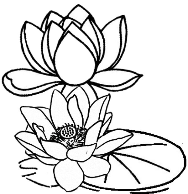 lotus flower and leaf coloring page
