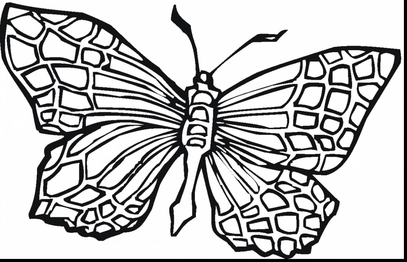 monarch butterfly coloring pages