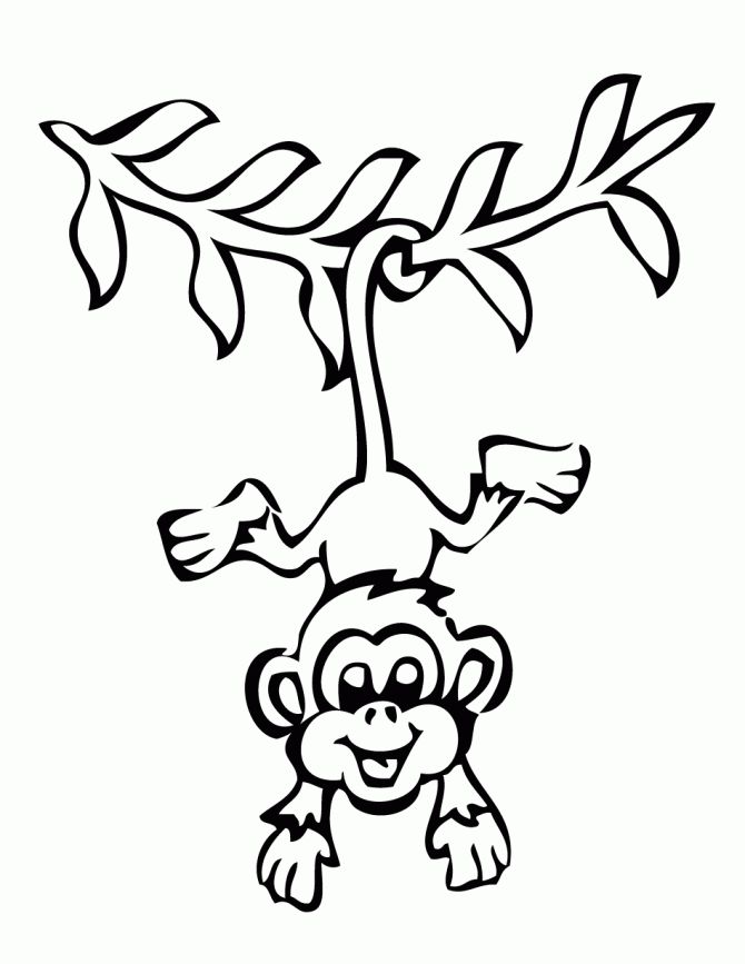 monkey coloring pages free