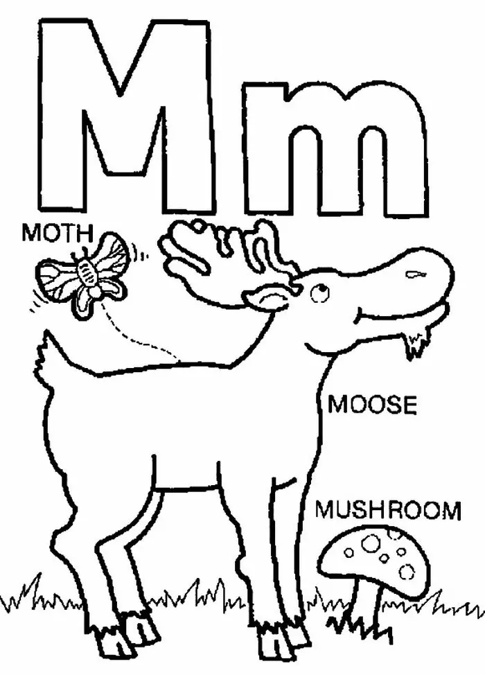 m for moose coloring page