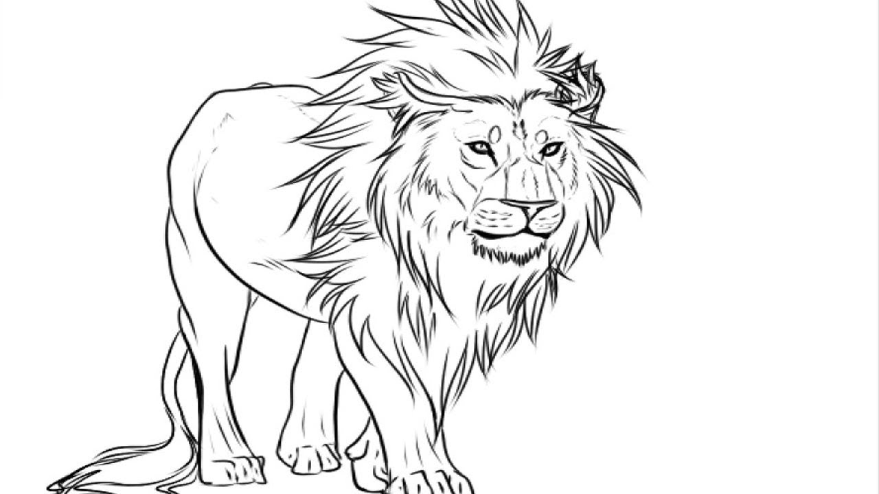 mountain lion coloring pages