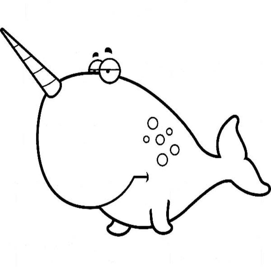 coloring pages narwhal