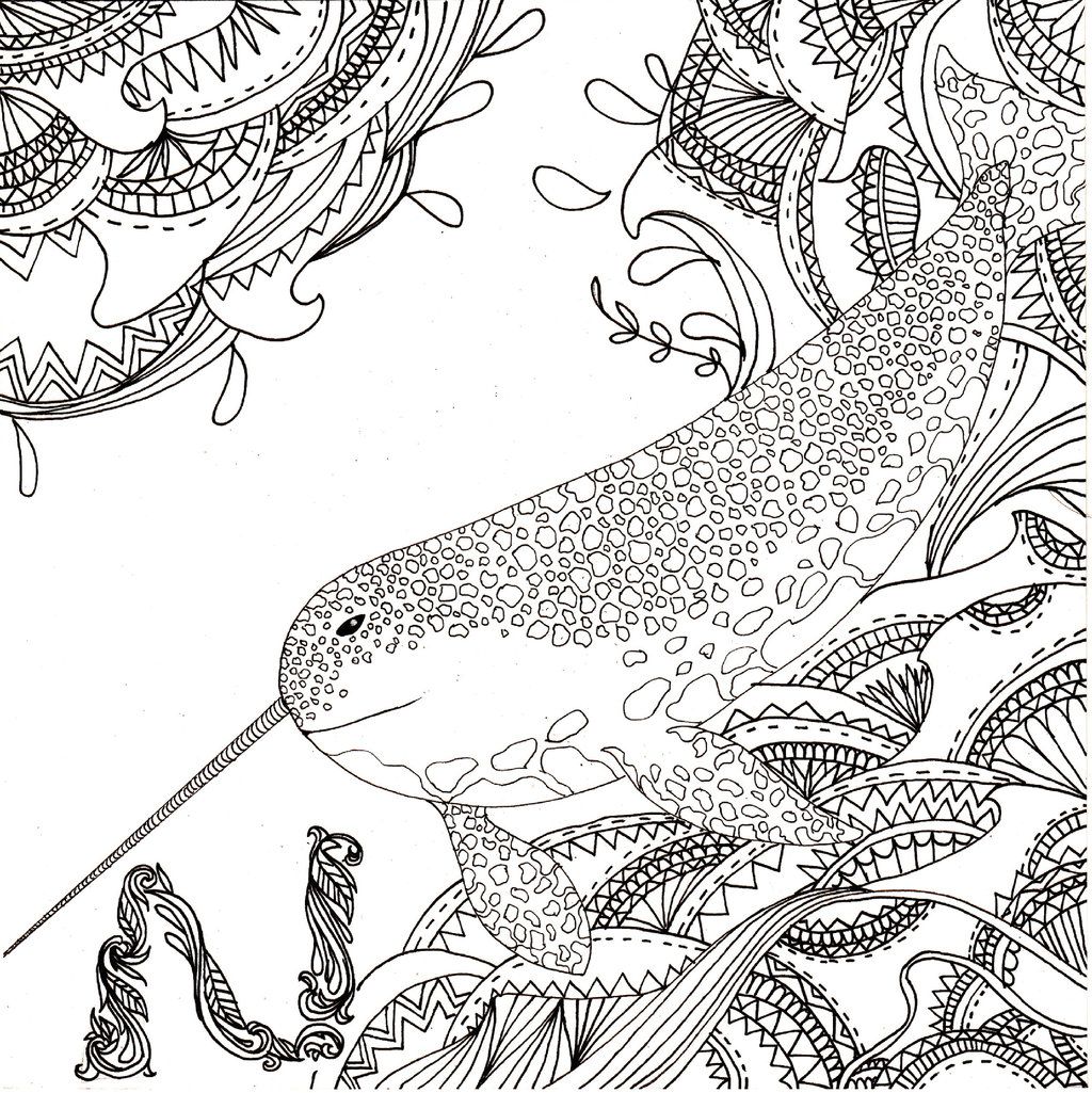 narwhal coloring pages print