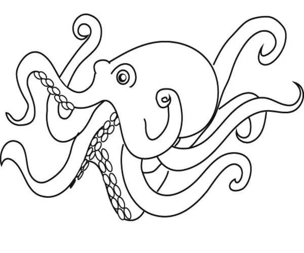 octopus printable coloring pages
