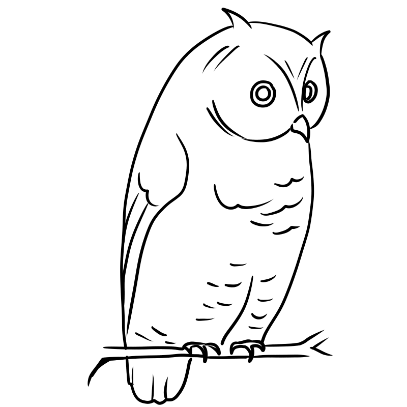 owl coloring page