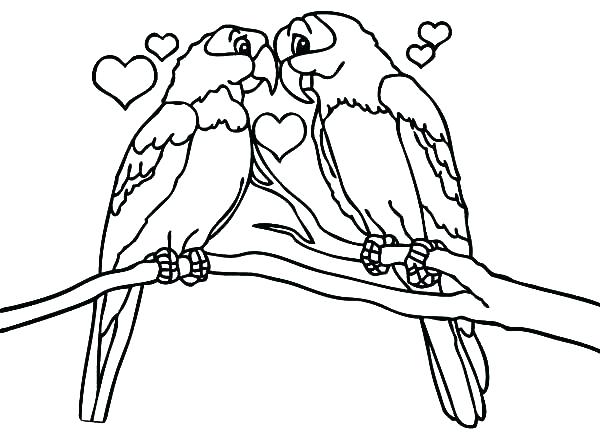 owl coloring pages for free