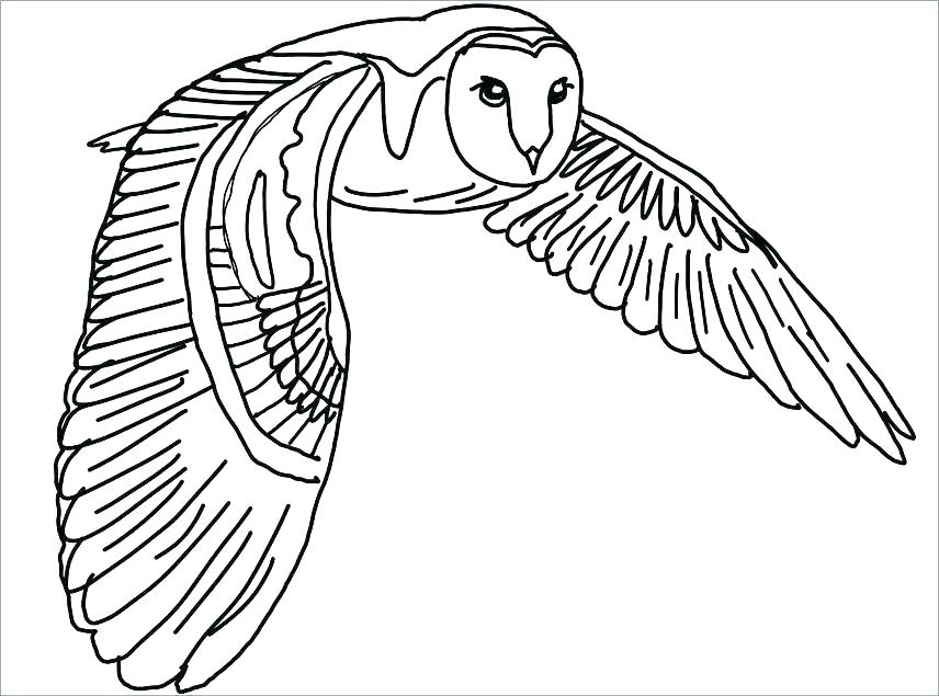 owl coloring pages for kids printable