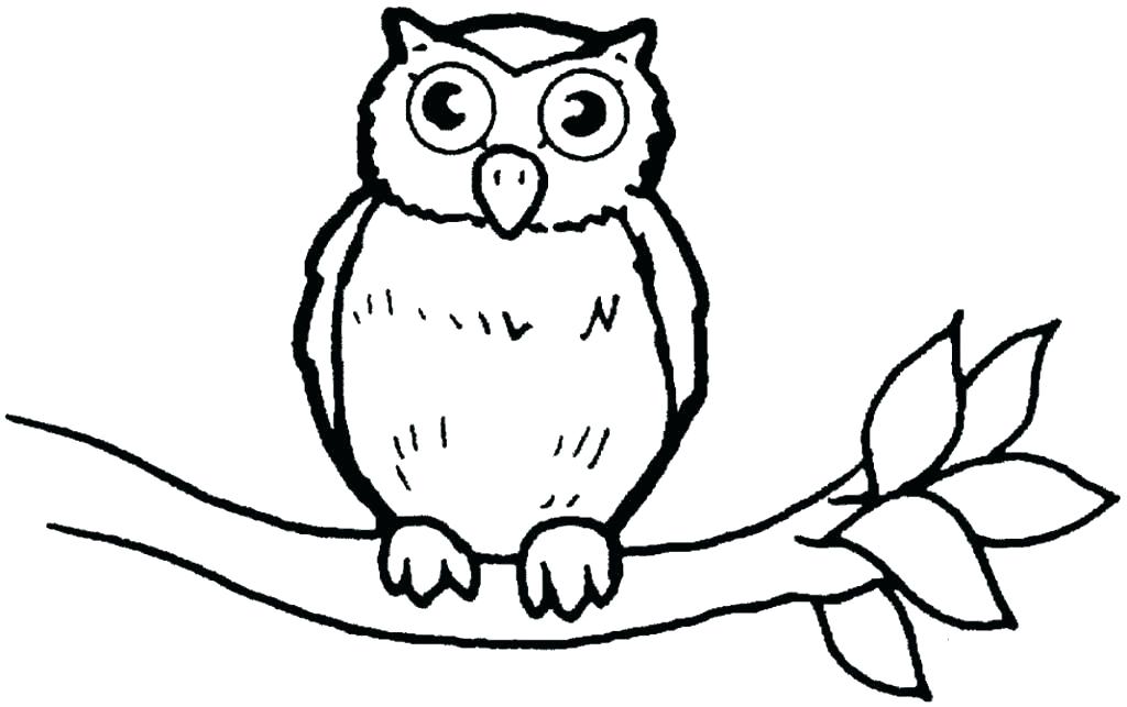 owl coloring pages online
