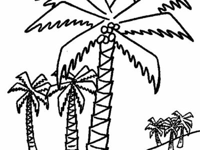 palm plant coloring sheet