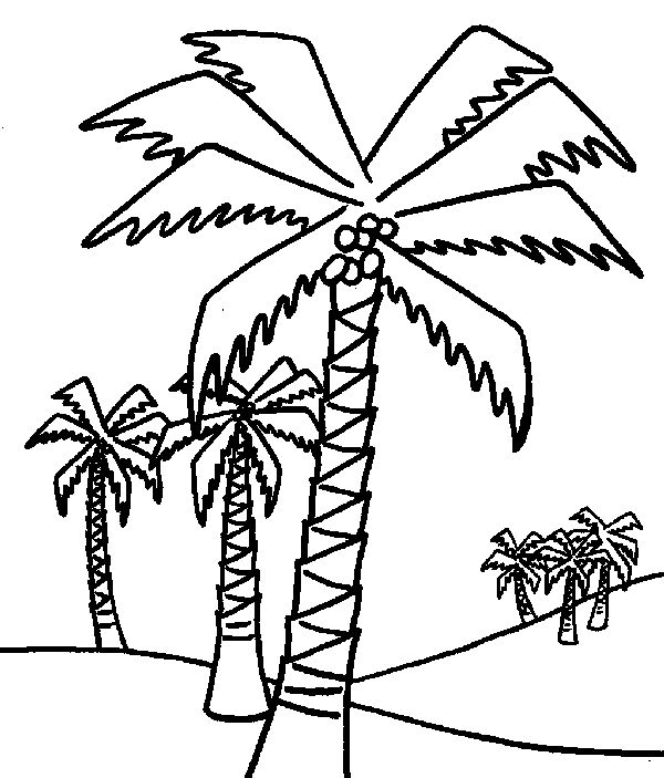 coconut tree coloring page