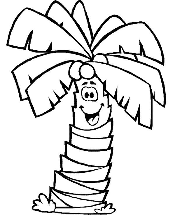 palm tree clip art of coloring page