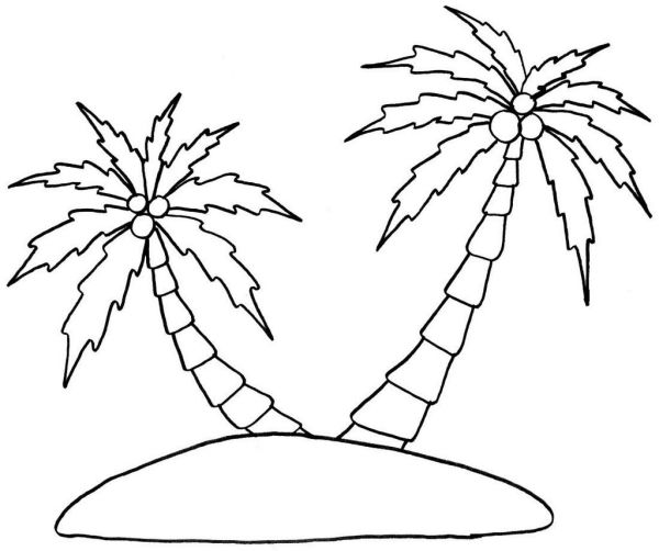 palm tree leaves coloring pages