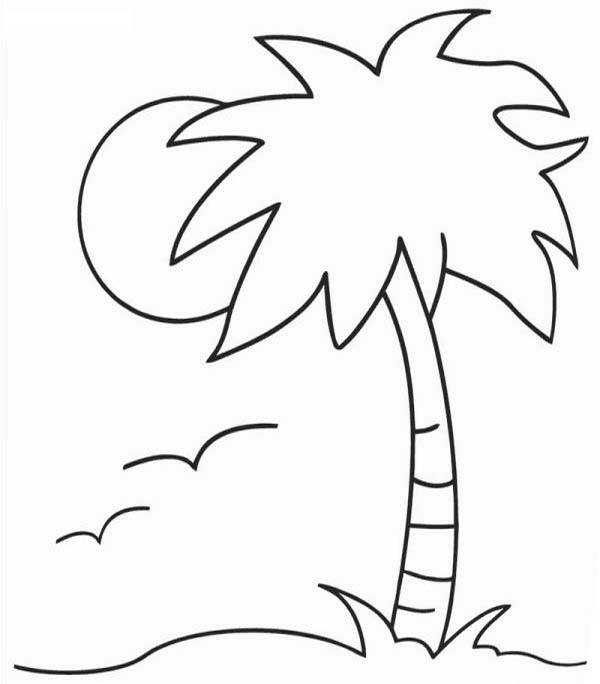 palm tree coloring pages tropical paradise
