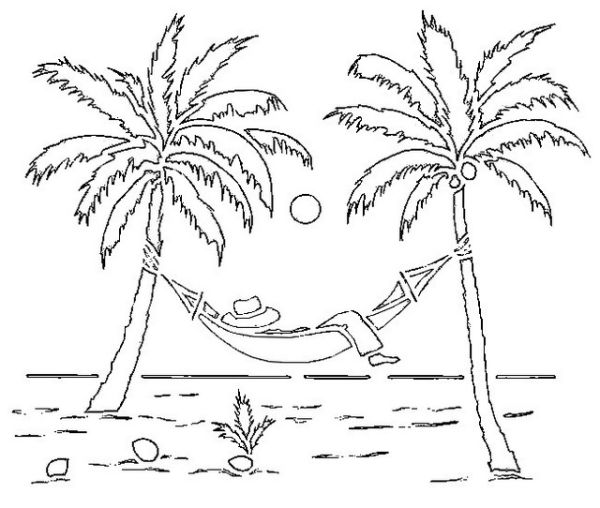 palm tree on the beach coloring page