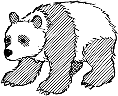 panda bears coloring pages