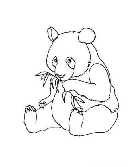 panda coloring pages printable