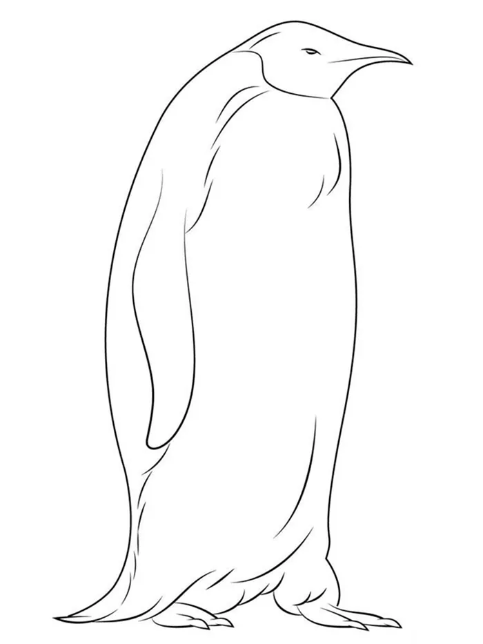 emperor penguin coloring pages