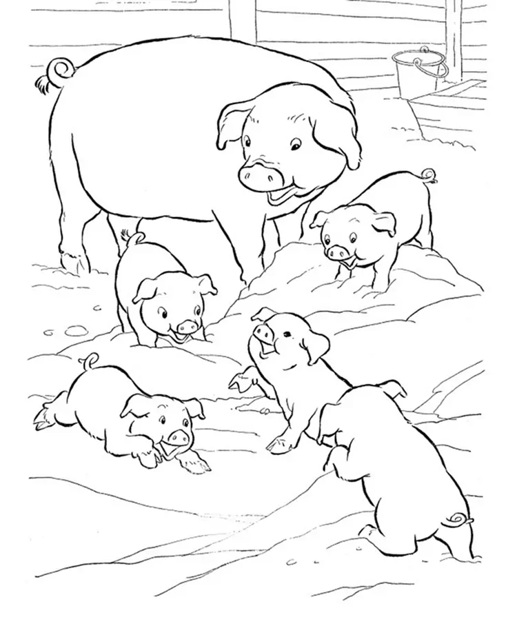pig and piglet coloring pages