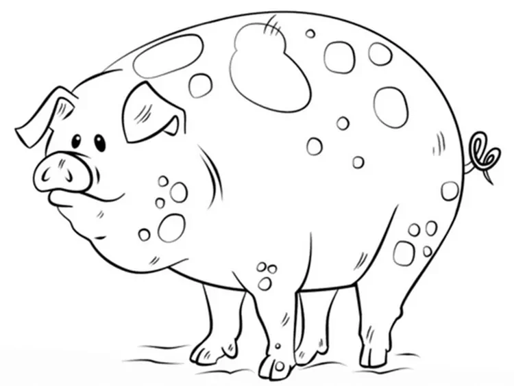 pig coloring book pages