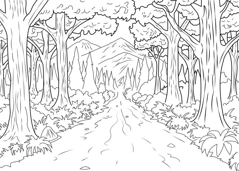 pine tree coloring pages for kids