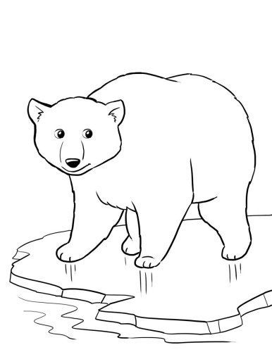 polar bear coloring pages for preschoolers