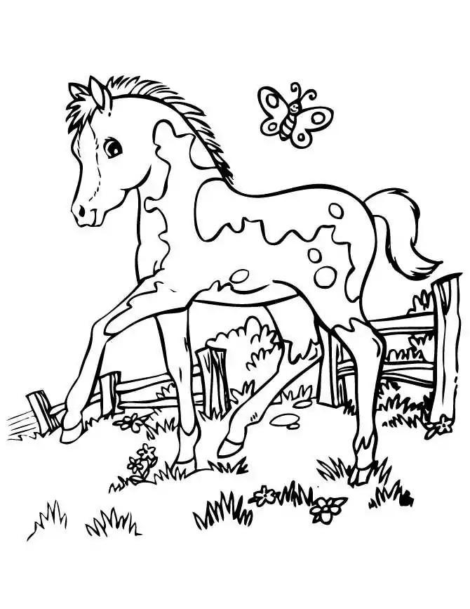 spotted pony coloring page