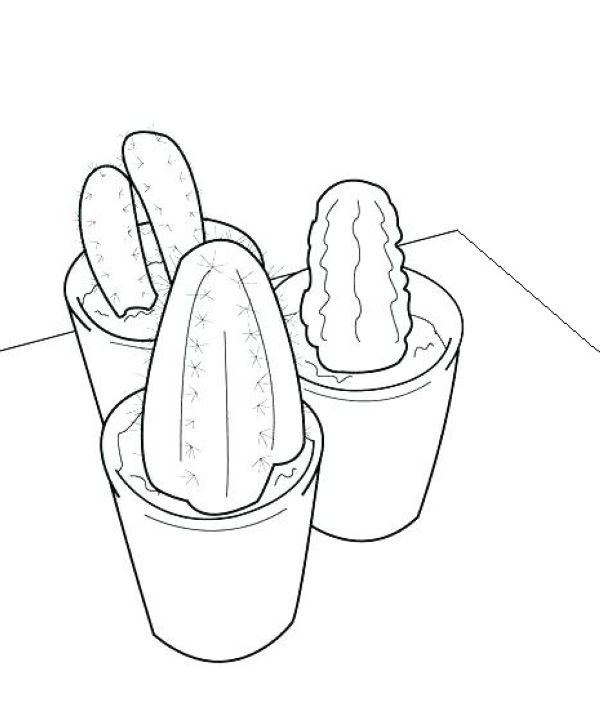 potted cactus coloring pages for kids