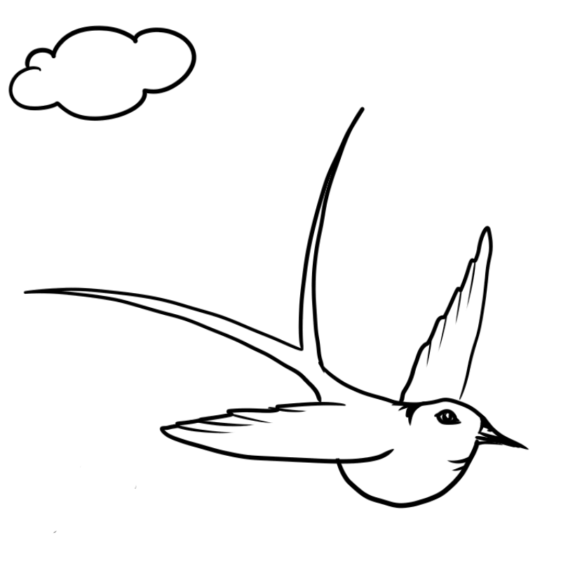 print bird coloring page