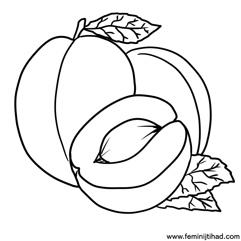 printable apricot coloring pages