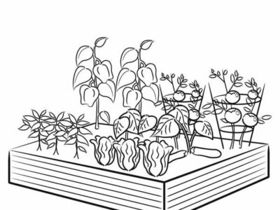 vegetable garden coloring pages