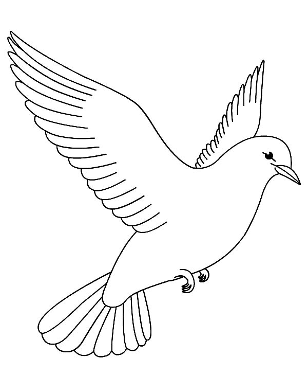 printable bird coloring pages
