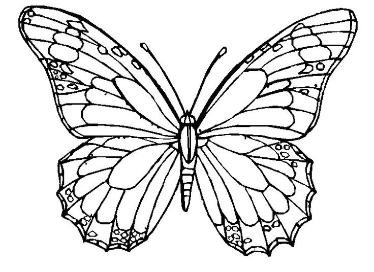 printable butterfly coloring pages