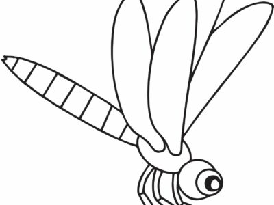 printable coloring page dragonfly