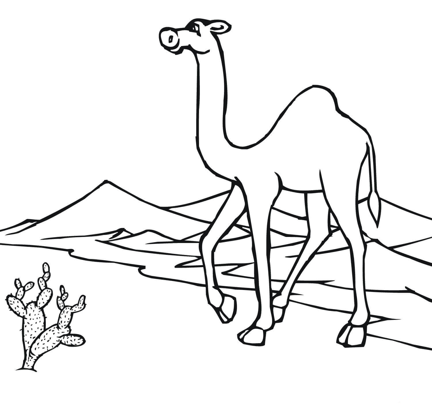 desert animal coloring pages