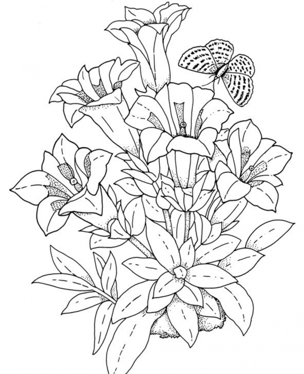 astonishing detailed flower coloring pages in flower coloring coloring pages of detailed flowers coloring pages of detailed flowers