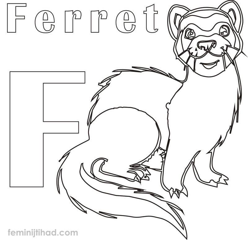 printable ferret coloring pages