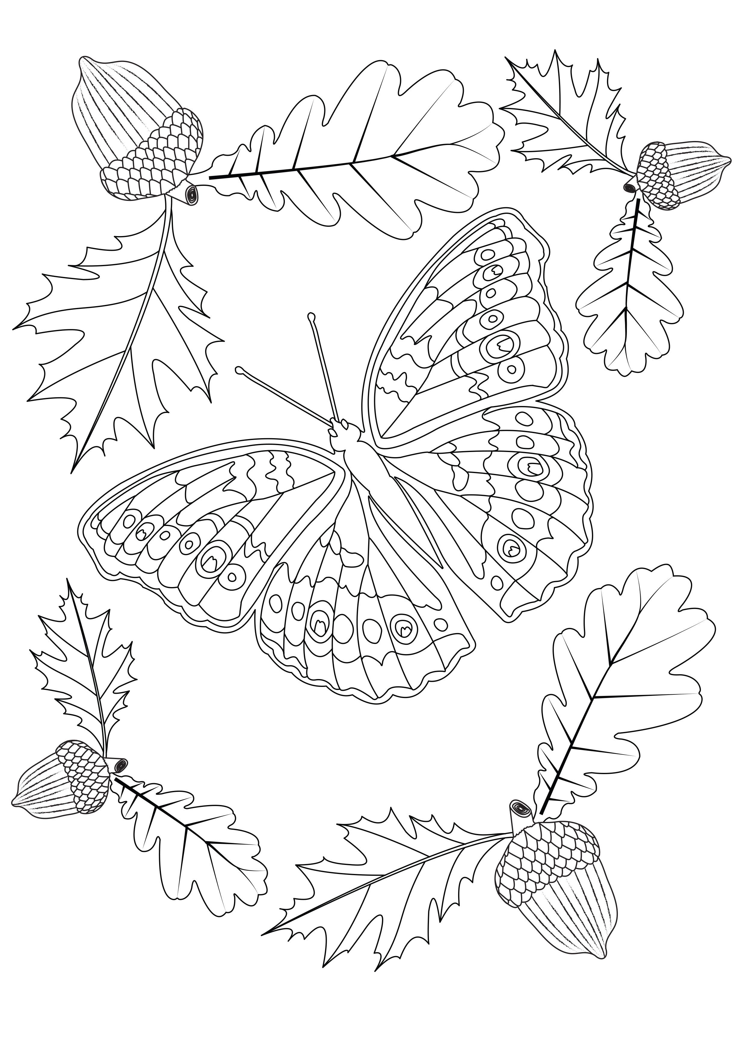 free insect coloring pages