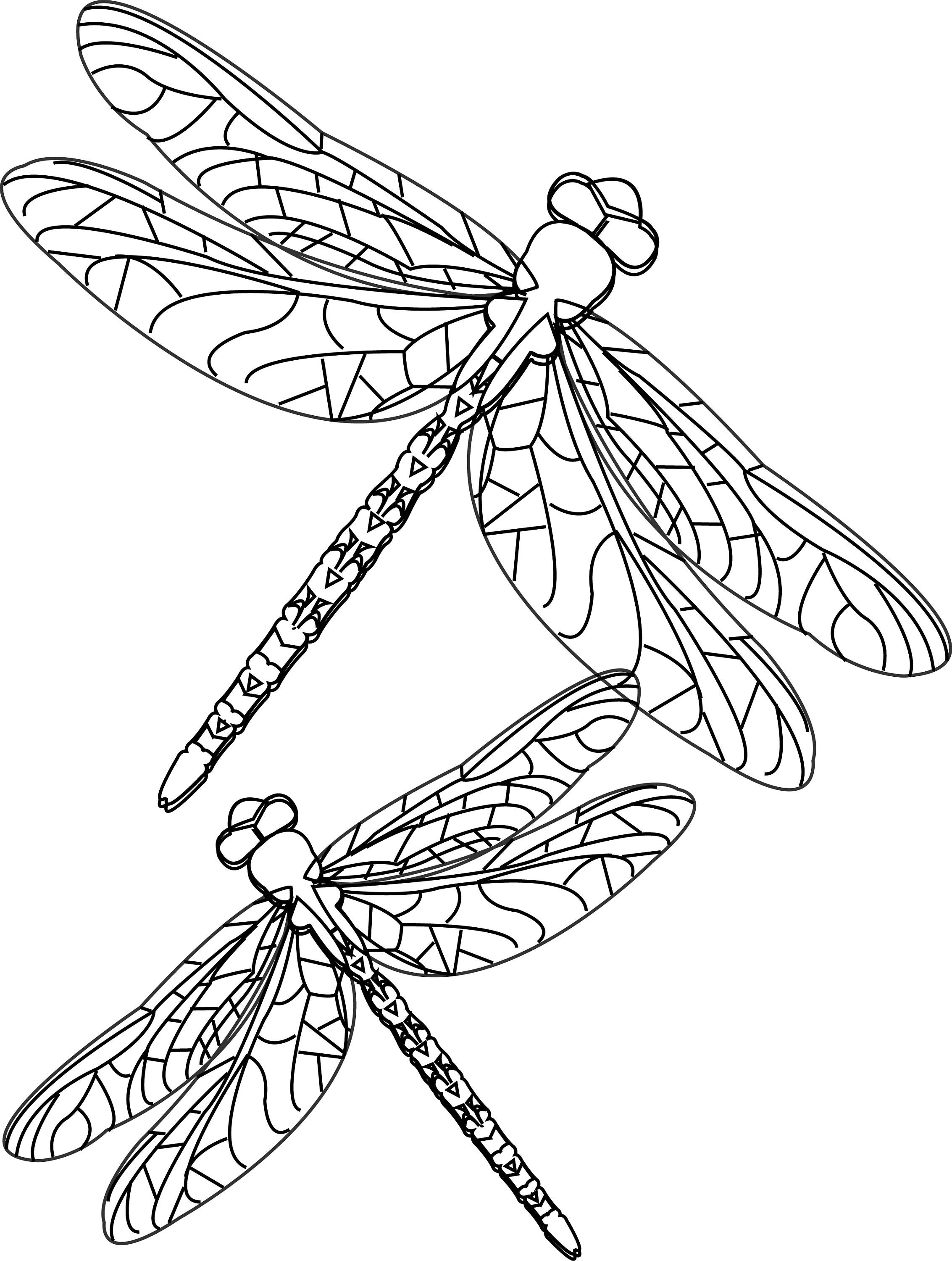 free printable insect coloring pages