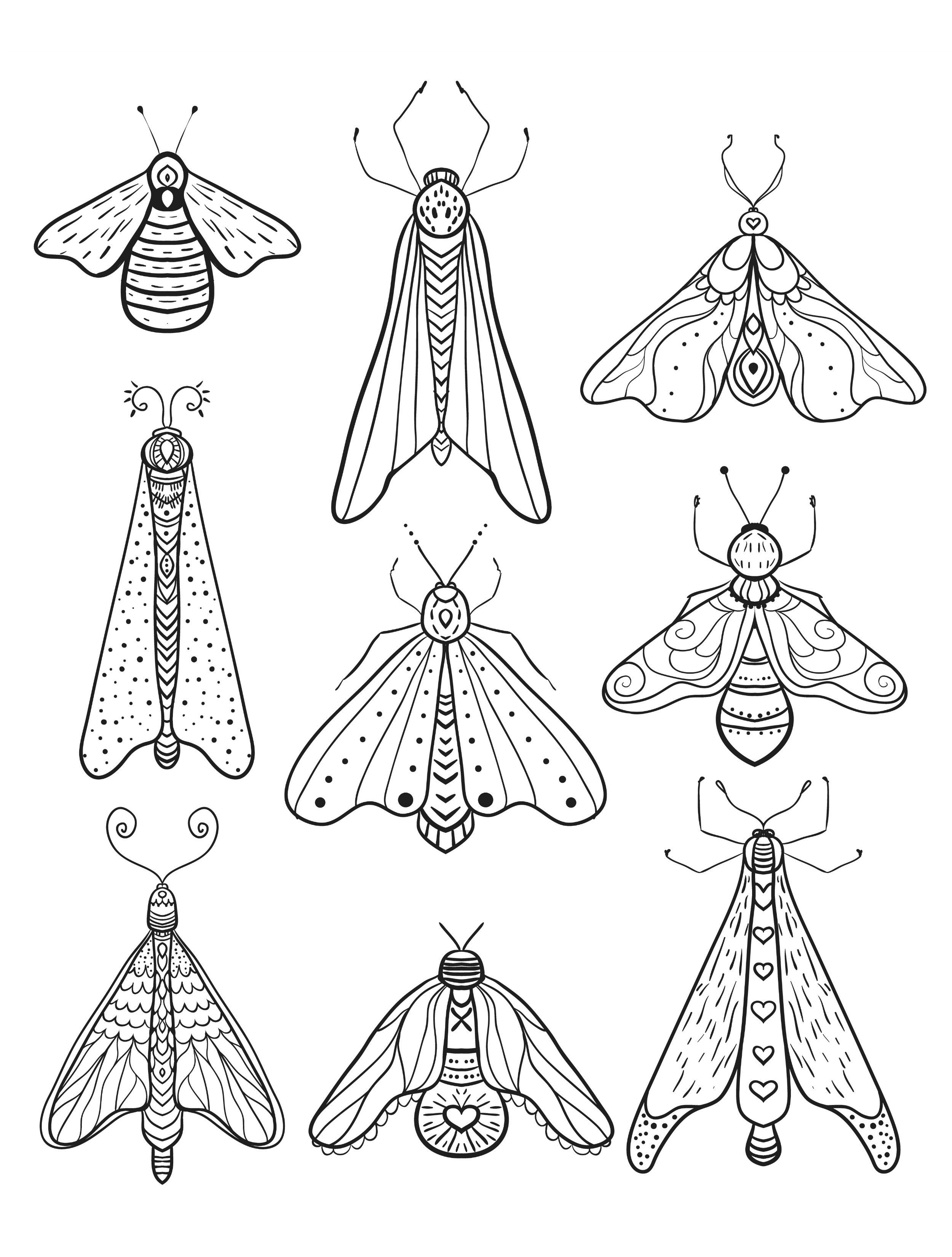 insect coloring pages printable