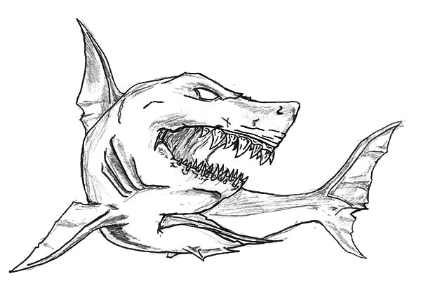 printable shark coloring pages