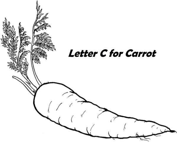 printable letter c for carrot coloring pages vegetables