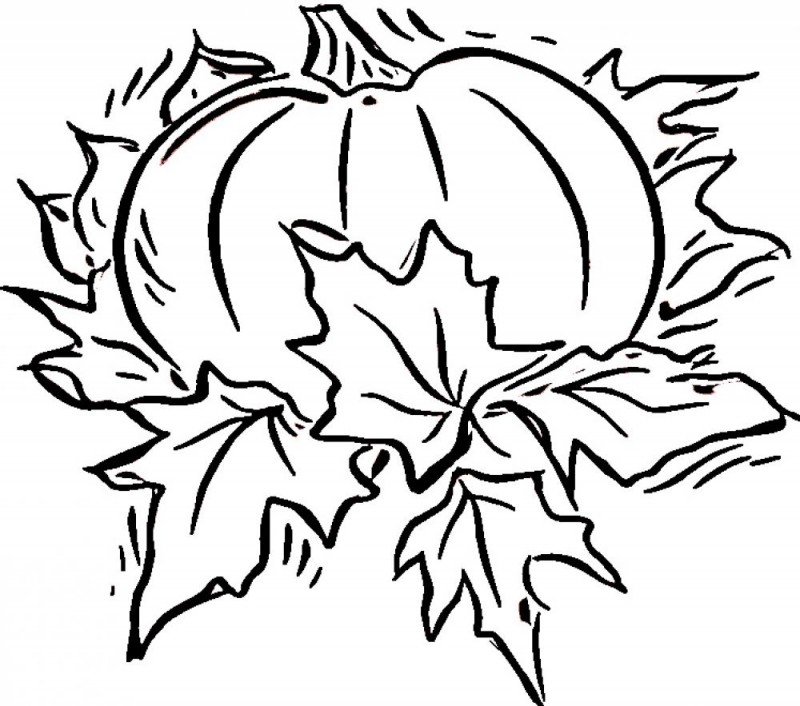 pumpkin coloring pages for toddlers