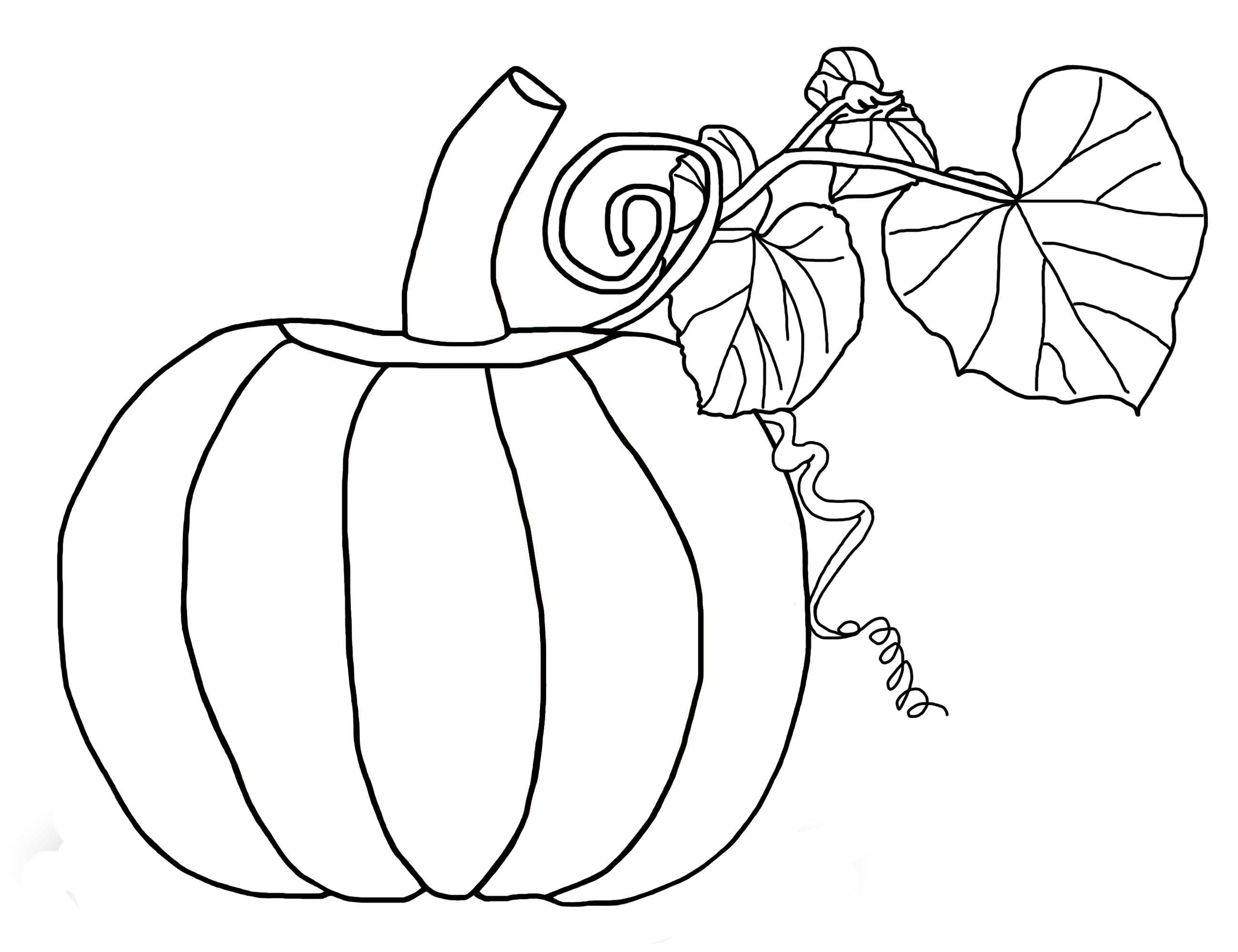 pumpkin coloring pages printable