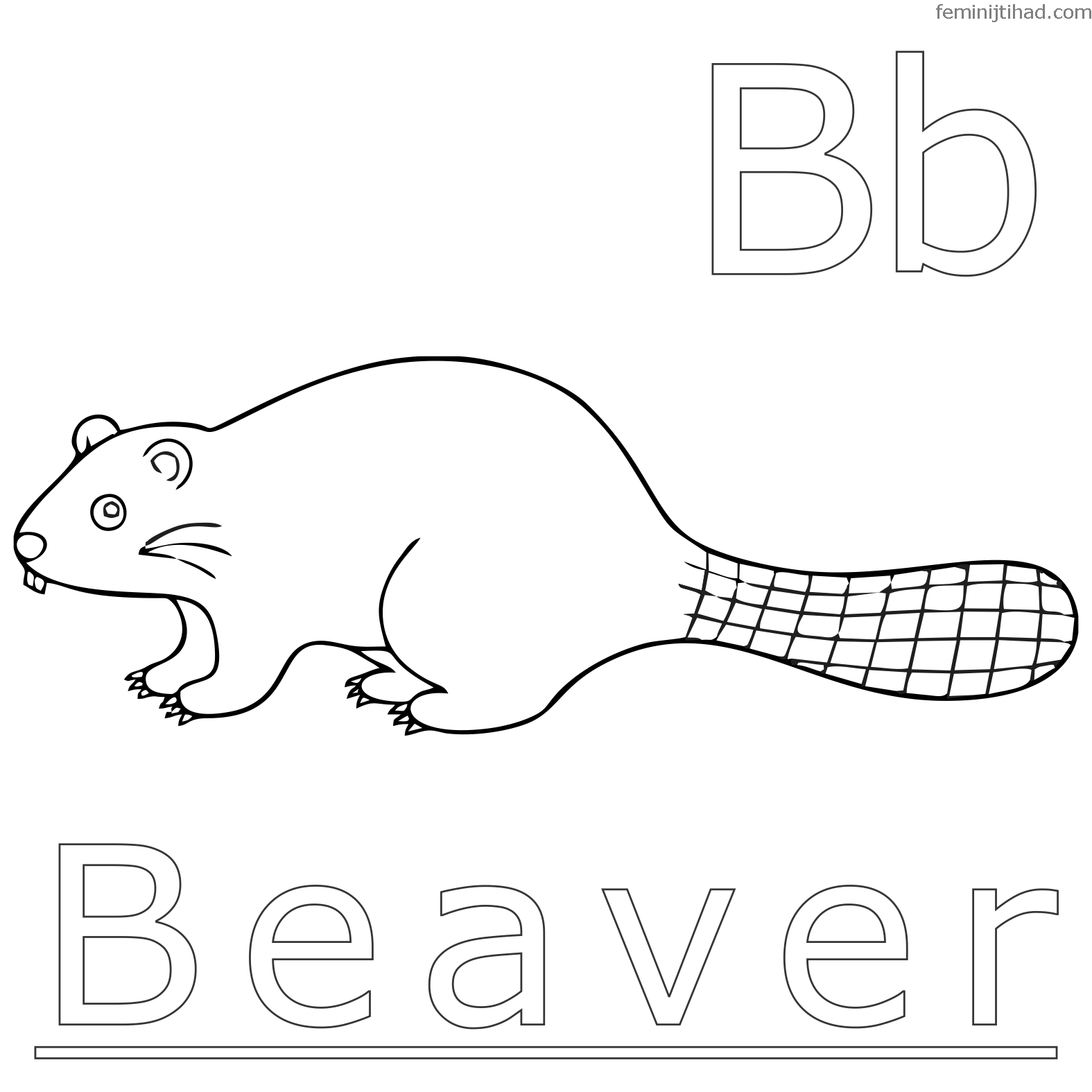 realistic beaver coloring pages