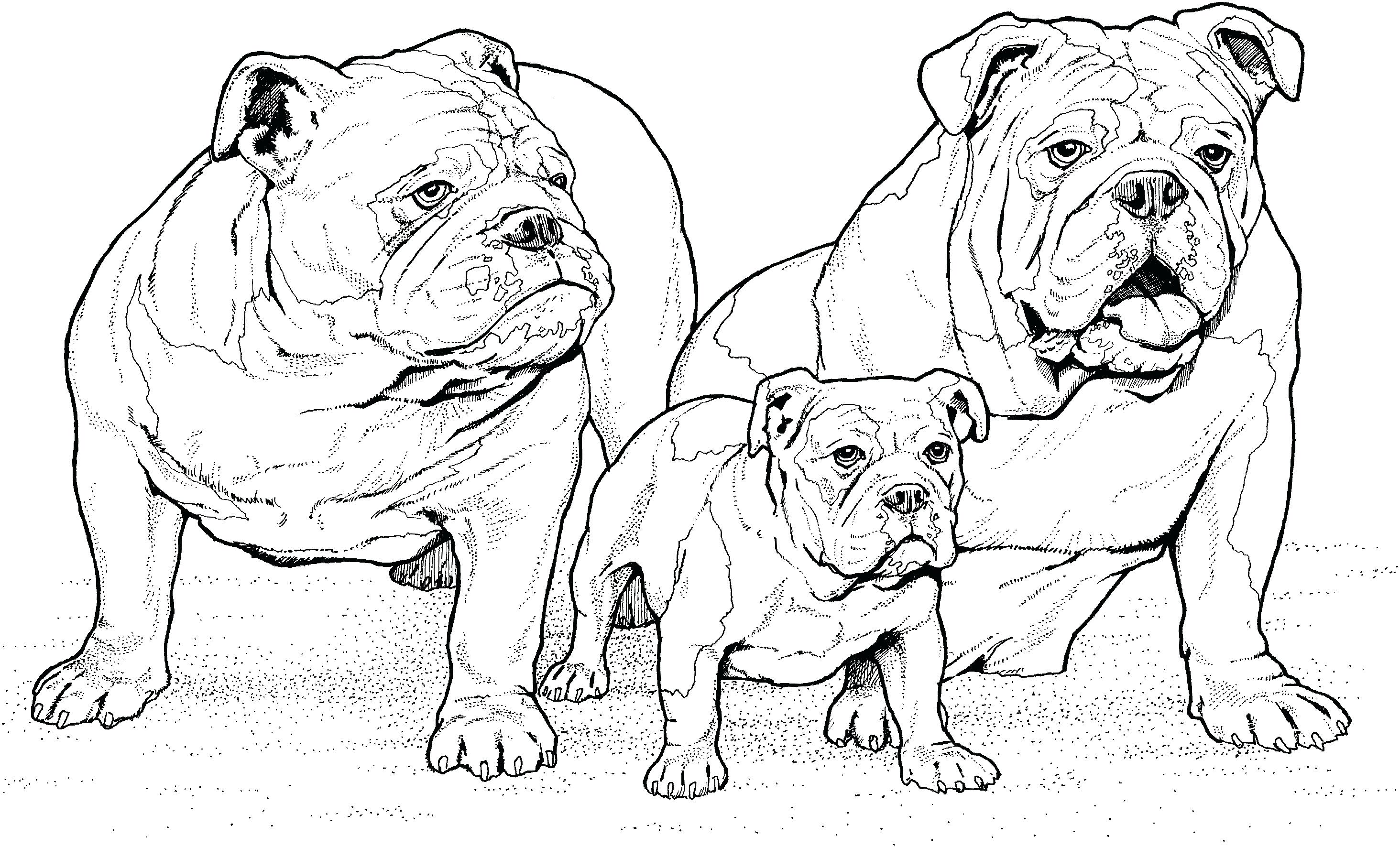 realistic dog coloring pages