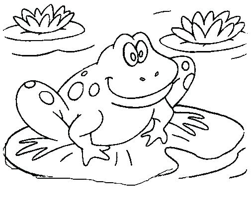 realistic frog coloring pages