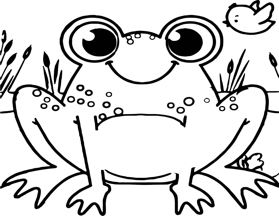 red eyed tree frog coloring pages